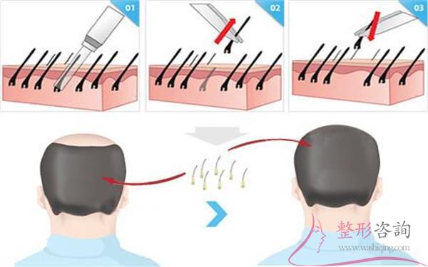 1633215216 1633215216