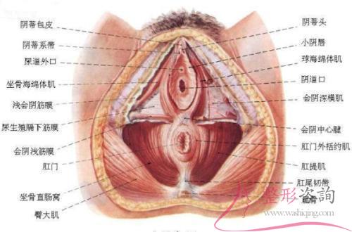 1049376450 1049376450