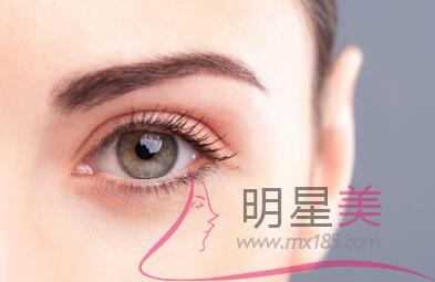 怎樣可以快速長眉毛