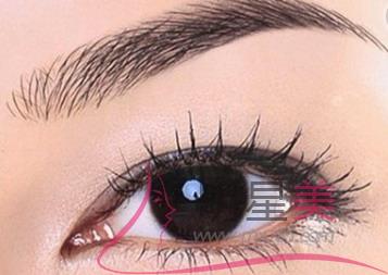 有眉毛和沒有眉毛的區(qū)別