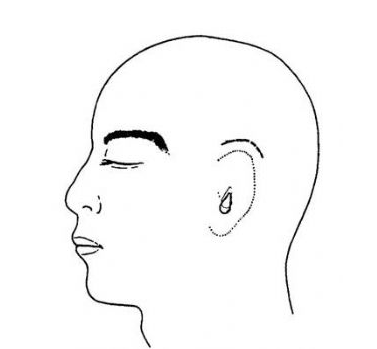 全<a href=http://m.f3bb6.cn/listinfo-699-0.html target=_blank class=infotextkey>耳再造</a>術有哪些方法啊