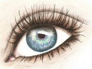 一般<a href=http://m.f3bb6.cn/listinfo-724-0.html target=_blank class=infotextkey>雙眼皮</a>手術要多少錢