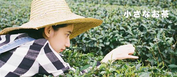 小<a href=http://m.f3bb6.cn/listinfo-699-0.html target=_blank class=infotextkey>耳再造</a>術，放大你的美麗！