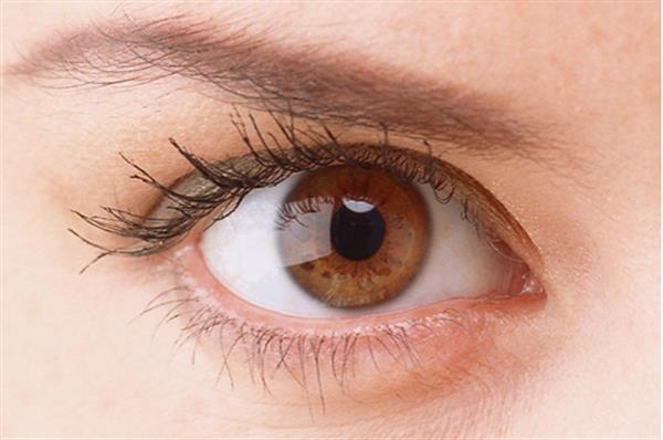 <a href=http://m.f3bb6.cn/listinfo-711-0.html target=_blank class=infotextkey>開眼角</a>后增生了怎么辦 