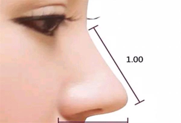 透明質酸<a href=http://m.f3bb6.cn/listinfo-737-0.html target=_blank class=infotextkey>隆鼻</a>手術會疼嗎